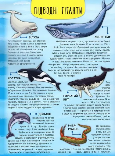 Енциклопедія з наліпками. Мешканці морів та океанів - фото 5