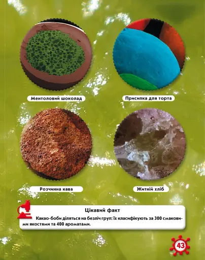 Світ навколо нас. Мікросвіт - фото 3