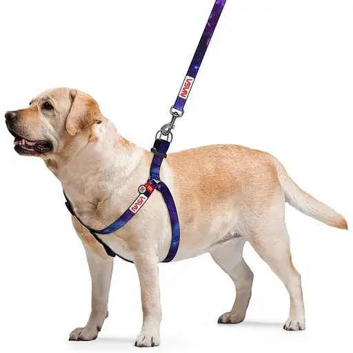 Шлея для собак Waudog Nylon з QR-паспортом, малюнок "NASA21", пластиковий фастекс, S - фото 2