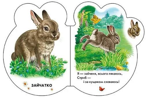 У лісі - фото 4