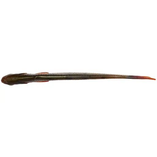 Силікон Savage Gear Craft Dying Minnow 55 мм 0.7g Perch (5 шт/уп) - фото 2