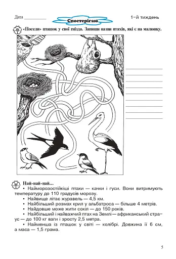 Канікули без нудьги. Я іду в 4-й клас! - фото 3