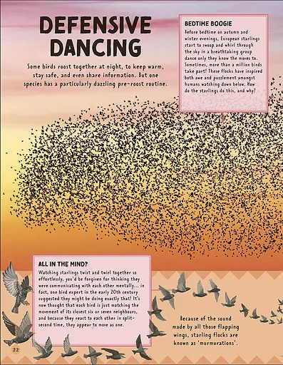 How Not to Get Eaten - фото 5