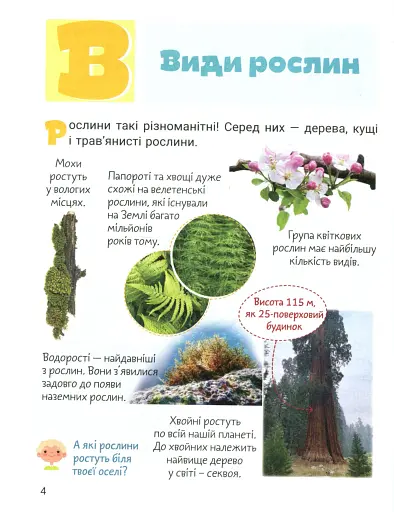 Класна абетка. Рослини - фото 5