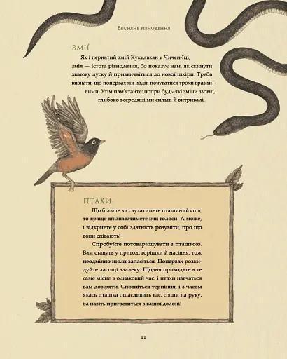 Колесо року. Ілюстрований путівник ритмами природи - фото 9