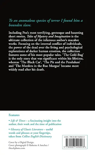 Tales of Mystery and Imagination - фото 2