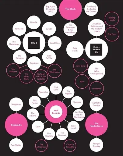 A Field Guide to Punk - фото 7