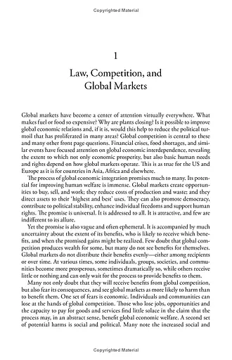 Global Competition. Law, Markets, and Globalization - фото 7