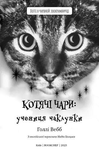 Котячі чари. Учениця чаклунки - фото 3