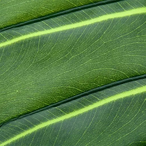 Искусственные листья Taro темные 95 см (DW-40) - фото 7