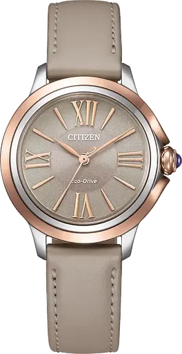 Годинник Citizen L EM1166-01Z