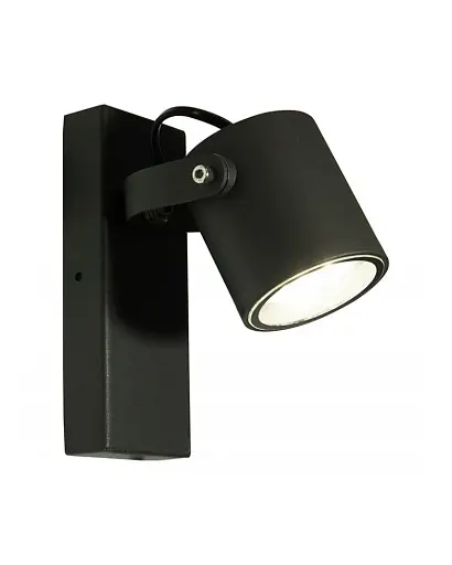 Вуличний світильник Goldlux 311573 Pino GU10 1x10W IP44 - фото 1