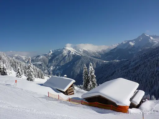 Снегоуборщик бензиновый AL-KO Comfort SnowLine 620 E III (113067) - фото 3