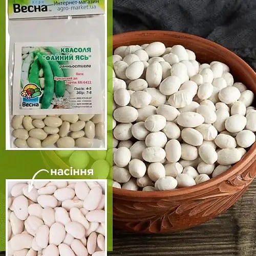 Фасоль "Файный Ясь" (Зипер) ТМ "Весна" 5г (19591) - фото 1