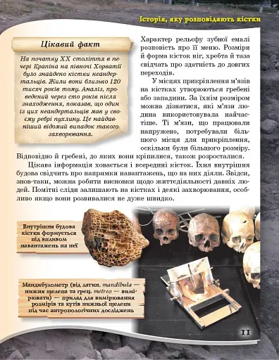 Від мавпи до людини - фото 10