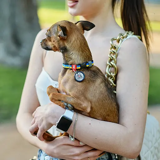 Ошейник для собак нейлоновый Waudog Nylon с QR-паспортом "Colors of freedom" пластиковый фастекс XS Ш 10 мм Дов - фото 3