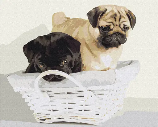 Картина за номерами на підрамнику Brushme Дружочки в корзині