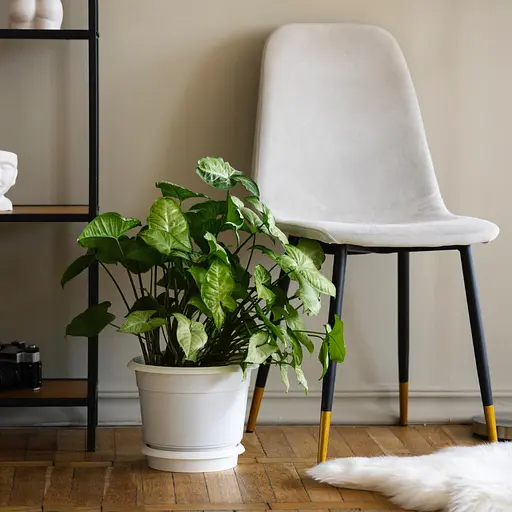 Торфосмесь для зелёных растений и пальм COMPO SANA® 20 л - фото 13