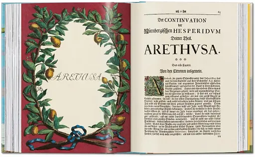 J. C. Volkamer. The Book of Citrus Fruits. 45th Edition - фото 15