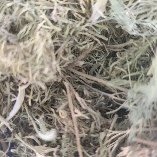 Укроп трава сушеная - свежий урожай 100 г 