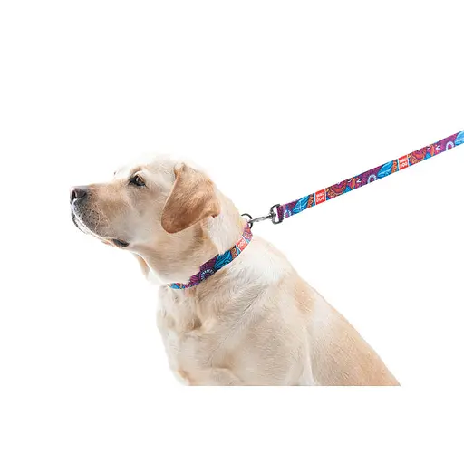 Нашийник для собак нейлоновий Waudog Nylon з QR-паспортом "Літо" пластиковий фастекс Ш 20 мм Д 28-40 см - фото 6