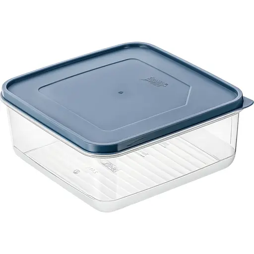 Контейнер для хранения продуктов Freshlife квадратный с крышкой 2.5 л (D-384)