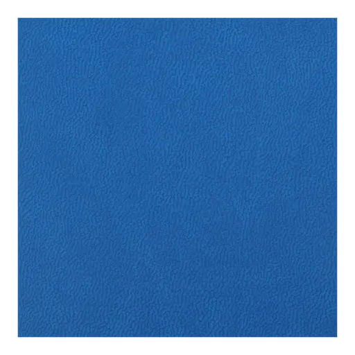 Щоденник датований Buromax Heraldry 2026 A6 штучна шкіра/поролон світло-синій (BM.2584-02) - фото 7