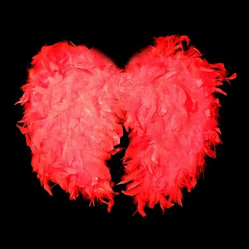 Крылья ангела - фото 1