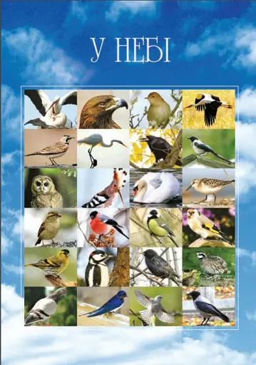 Я досліджую світ. 1-4 класи. Дивокрай. Частина 2 - фото 3