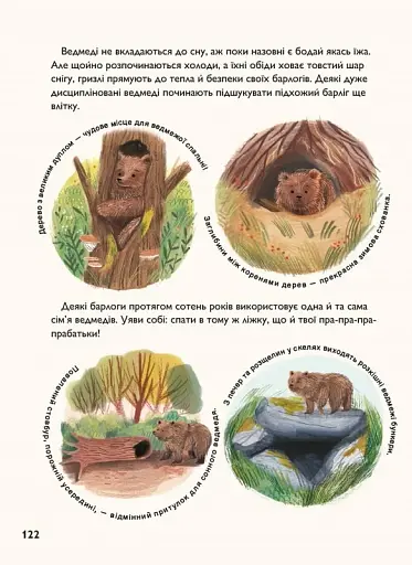 Про сон перед сном - фото 11