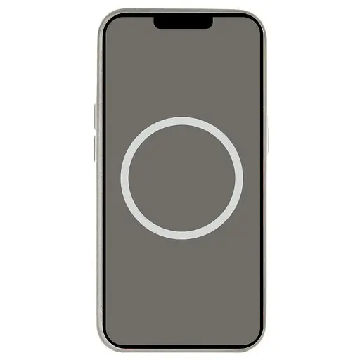 Чохол Silicone case (AAA) with Magsafe and Animation для Apple iPhone 16 Pro (6.3) Stone Grey - фото 3