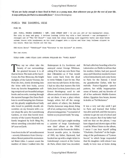 Paris Blues - фото 11