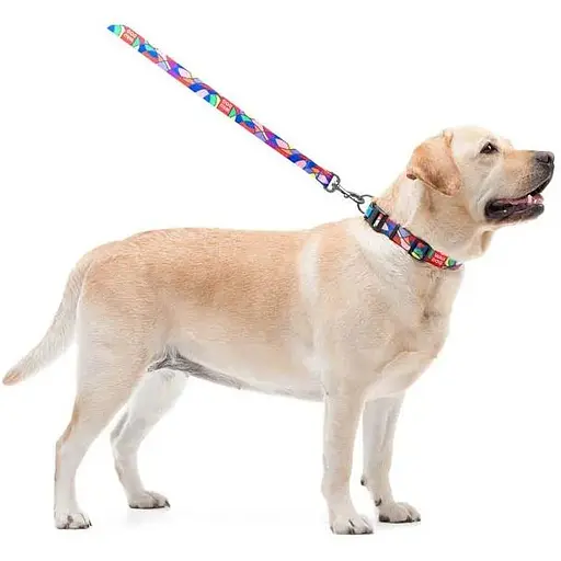 Повідець для собак Waudog Nylon нейлоновий, малюнок "Вітраж" - фото 4