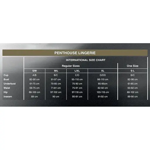 Міні-сукня Penthouse Bedtime Surprise Black, велика сітка, рукави, вертикальні вставки XL - фото 4