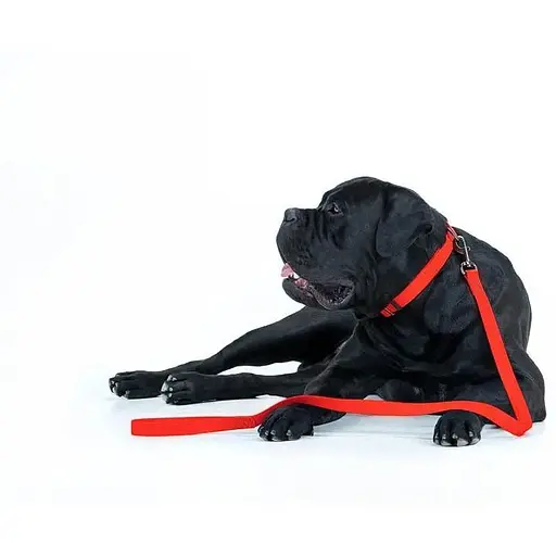 Повідець для собак Waudog Waterproof водостійкий M, червоний - фото 6