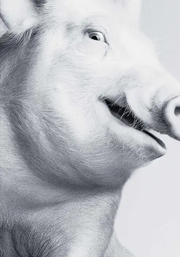 Heji Shin. THE BIG NUDES - фото 4