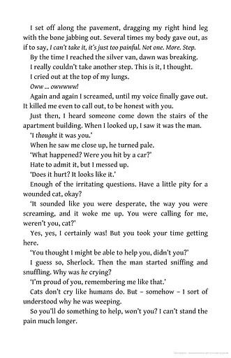 The Travelling Cat Chronicles - фото 6