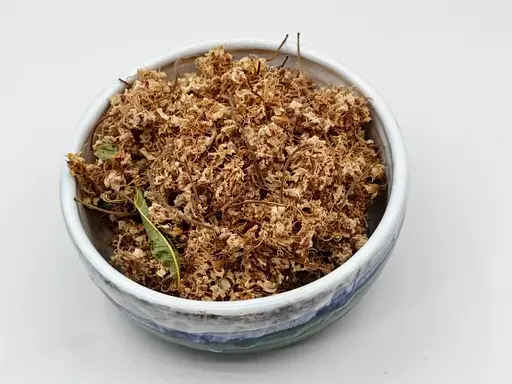 Каштан цвіт 25гр - фото 2