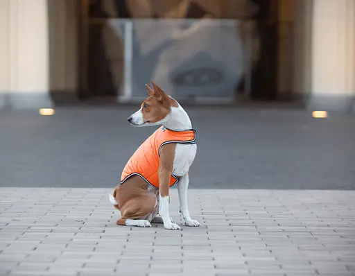 Куртка-накидка для собак AiryVest, XL, B 68-80 см, С 42-52 см помаранчевий [CD] - фото 8