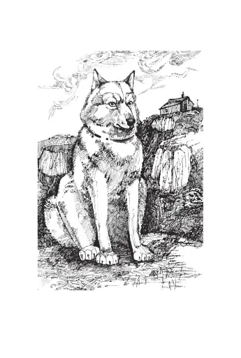 Розповіді про Північ - фото 8