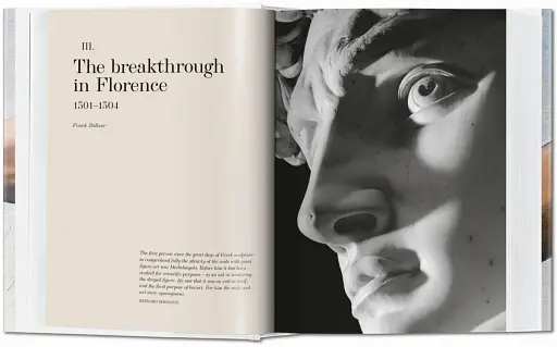 Michelangelo. Paintings, Sculptures and Architecture - фото 2