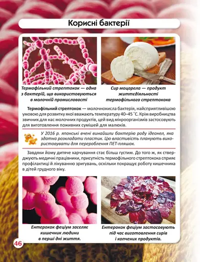 Світ навколо нас. Бактерії - фото 4