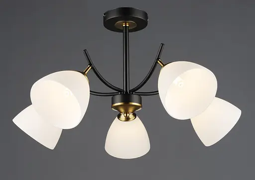 Стельовий світильник N6602/5