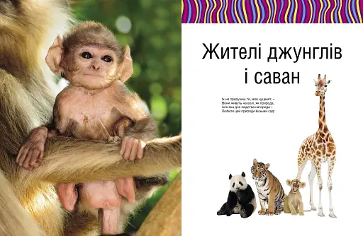 Малята звірята - фото 9