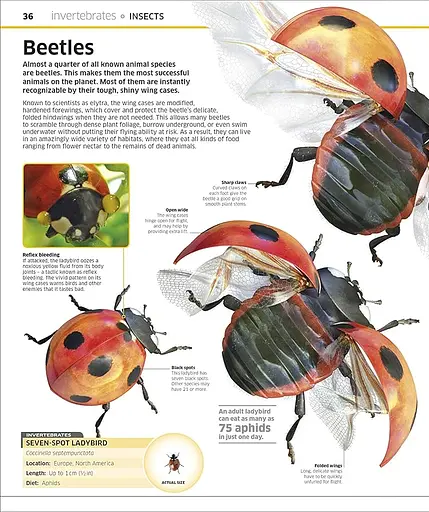 Knowledge Encyclopedia Animal! - фото 4