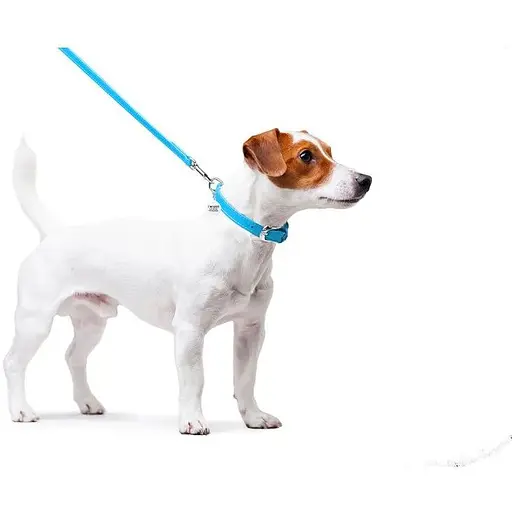 Повідець для собак Waudog Glamour шкіряний, блакитний - фото 4