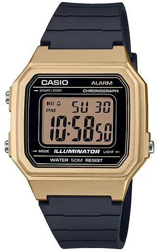 Годинник CASIO W-217HM-9AVEF