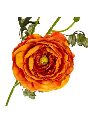 Букет штучний "Ранункулюс", 65 см помаранчевий Elisey 8114-021 - фото 2