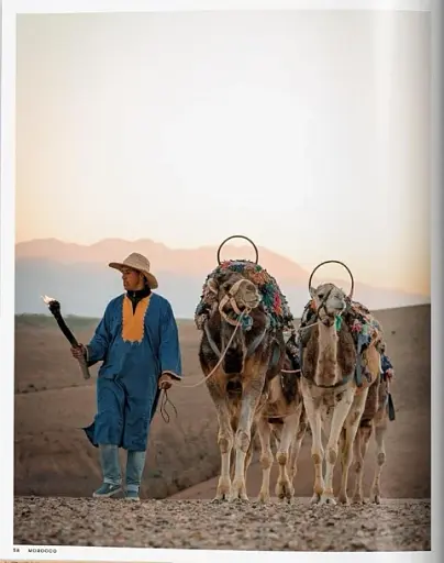 Great Escapes Africa - фото 4