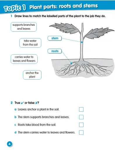 Macmillan Science. Level 3. Workbook - фото 2